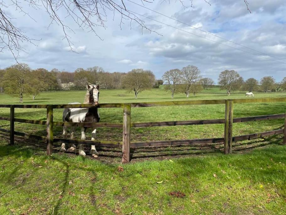 Jersey Cottage Horseheath エクステリア 写真